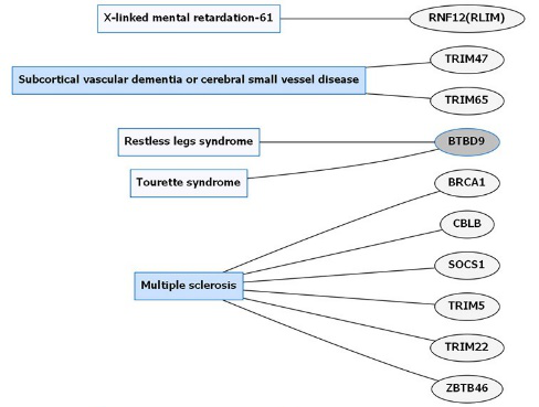 Common neurological disorders (CNDs) and E3 ligase gene associations
